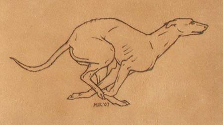Running Greyhound