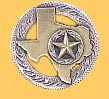 Map of Texas with Star
