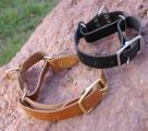 Economy Martingale - Click For Enlargement
