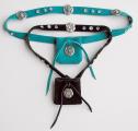 Jeweled Tag Collar - Click For Enlargement